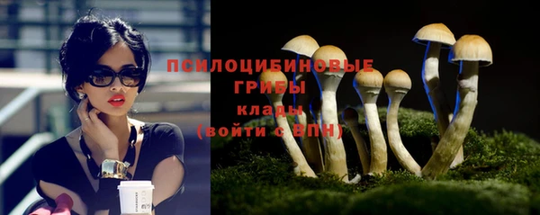 ПСИЛОЦИБИНОВЫЕ ГРИБЫ Абинск