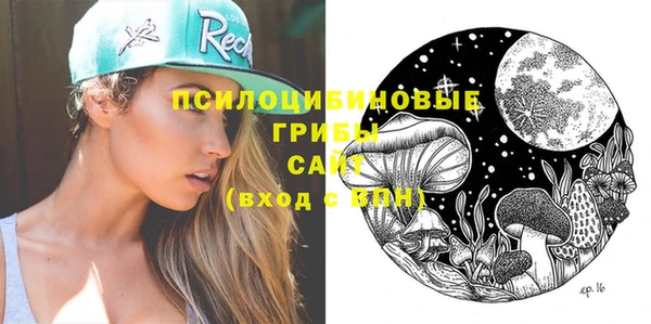 мяу мяу мука Алзамай
