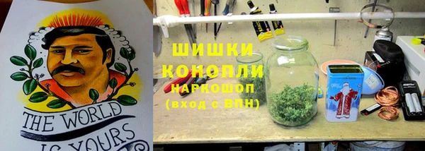 ПСИЛОЦИБИНОВЫЕ ГРИБЫ Абинск