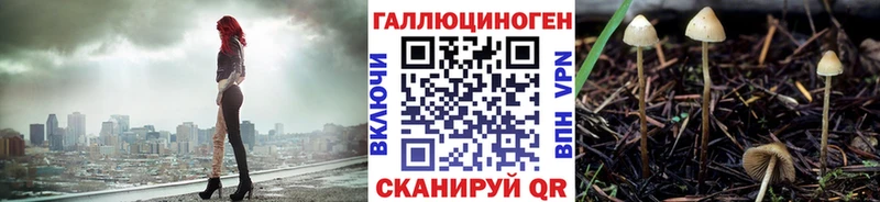купить наркотик  Уржум  Псилоцибиновые грибы MAGIC MUSHROOMS 